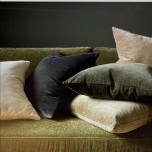 Pottery Barn Everywhere Velvet Pillow Covers